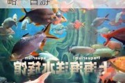 上海海洋水族馆的门票多少钱_上海海洋水族馆攻略一日游